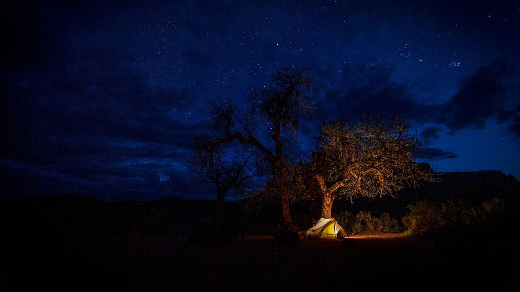 Landscape-oriented color photograph. A dark night sky glows a vivid blue in the upper two-thirds of the image with dark clouds and tiny dots of stars scattered across the sky. Just off center to the right a single tent glows yellow from a lamp inside, illuminating the surrounding area with warm orange light in a sea of almost complete darkness. The light shows a large oak tree just behind the tent, half lit, half in shadow, and a small area of desert earth is visible to the right of the tent. The rest of the bottom third of the image is almost completely black. The scene is quiet and calm.