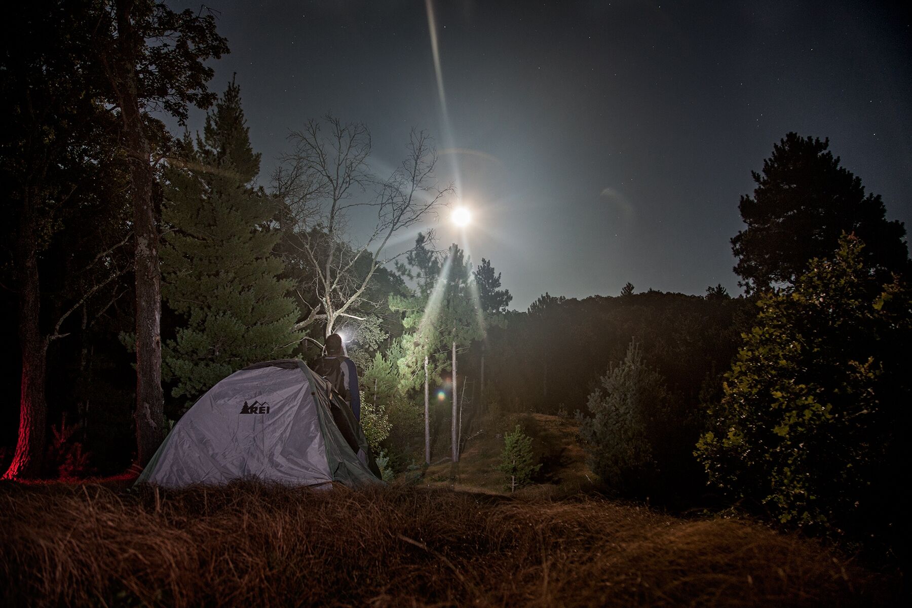Moonlit campsite in the Black River State Forest, Wisconsin