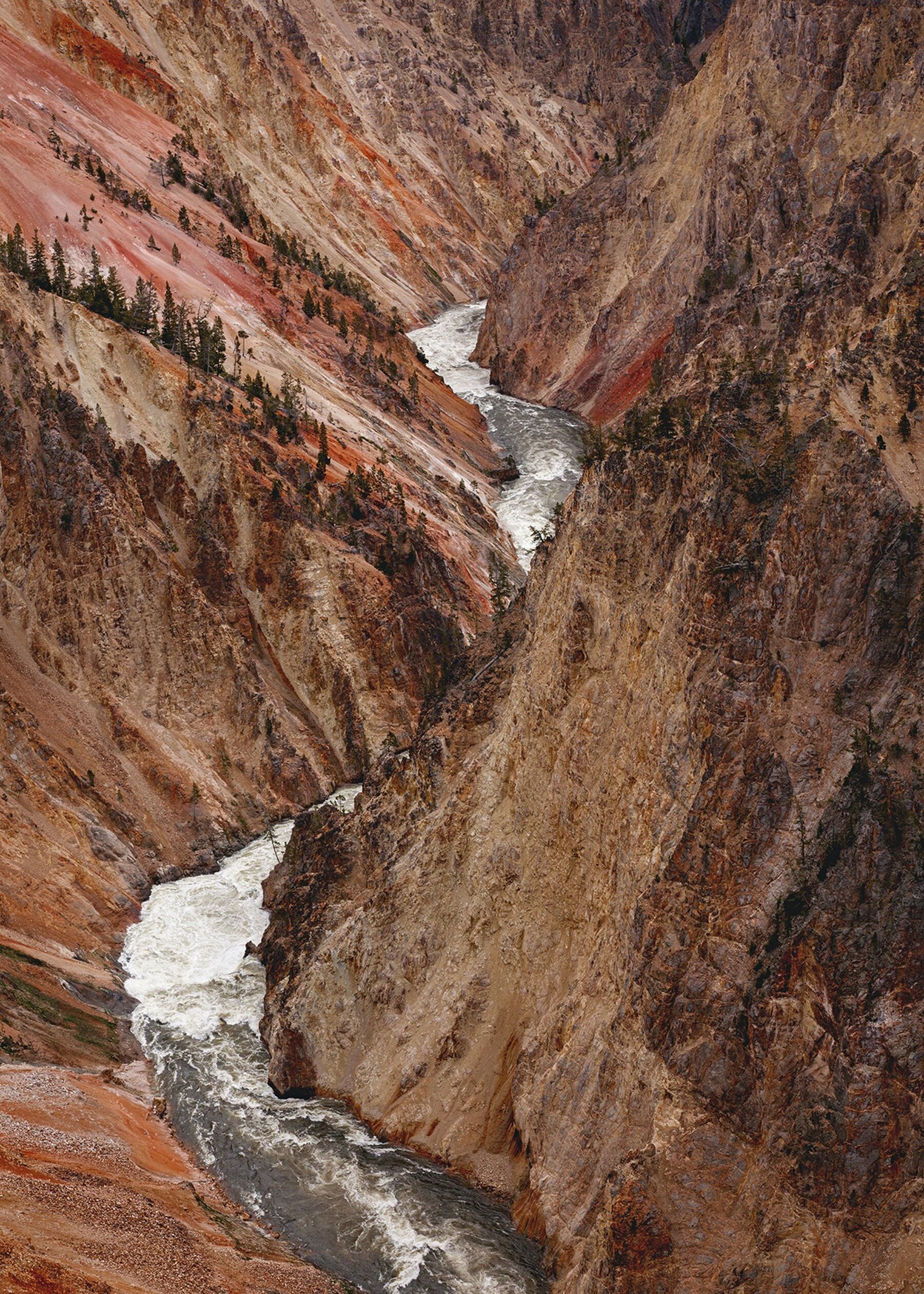 The Grand Canyon of Yellowstone in Yellowstone National Park, Wyoming