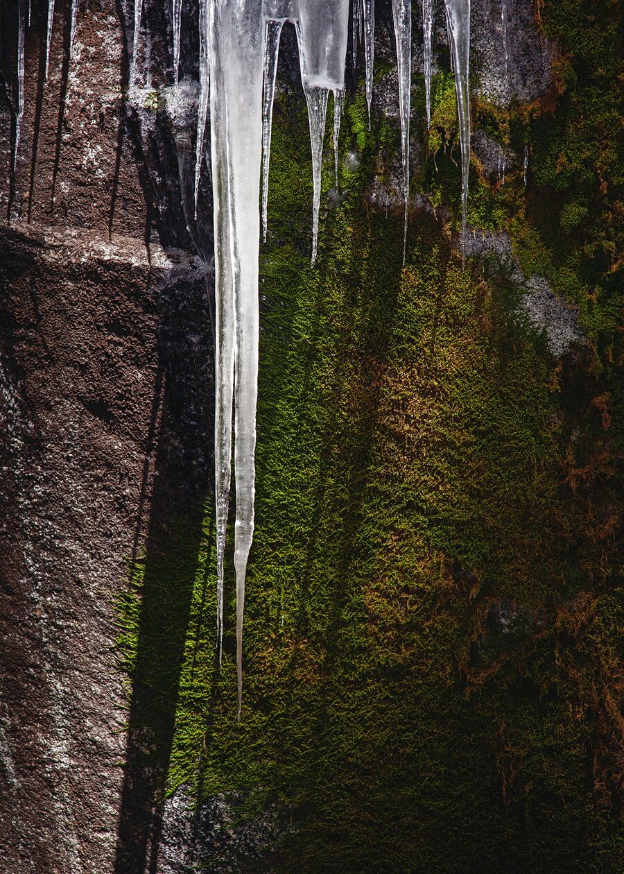 A series of icicles hang over a moss-covered boulder in Yosemite Valley