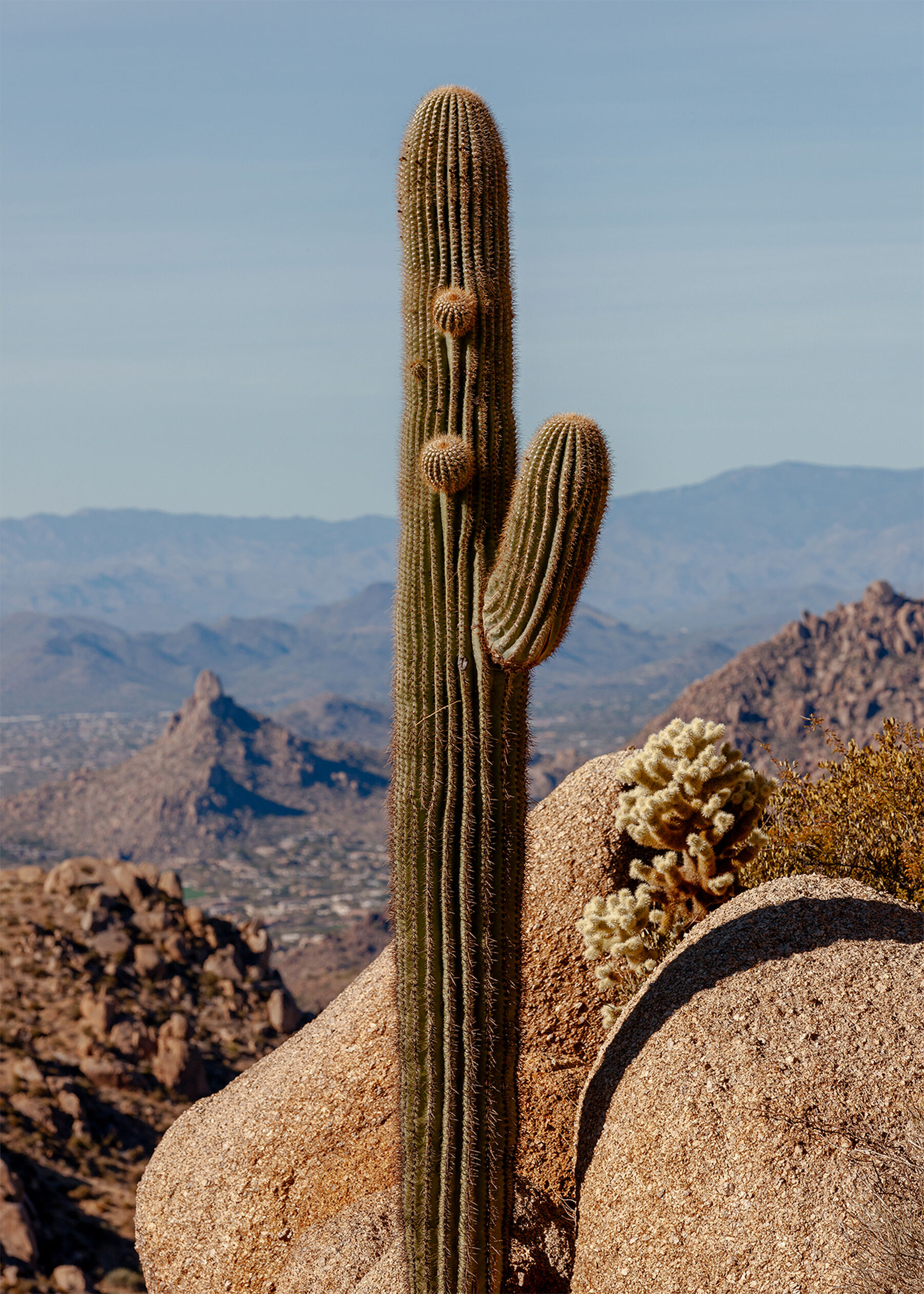 A saguaro cactus stands tall in the center of the frame, in bright daylight, which casts a slender dark shadow across a light colored boulder to the right of its base. In the background are several layers of mountainous terrain, fading out in a haze towar