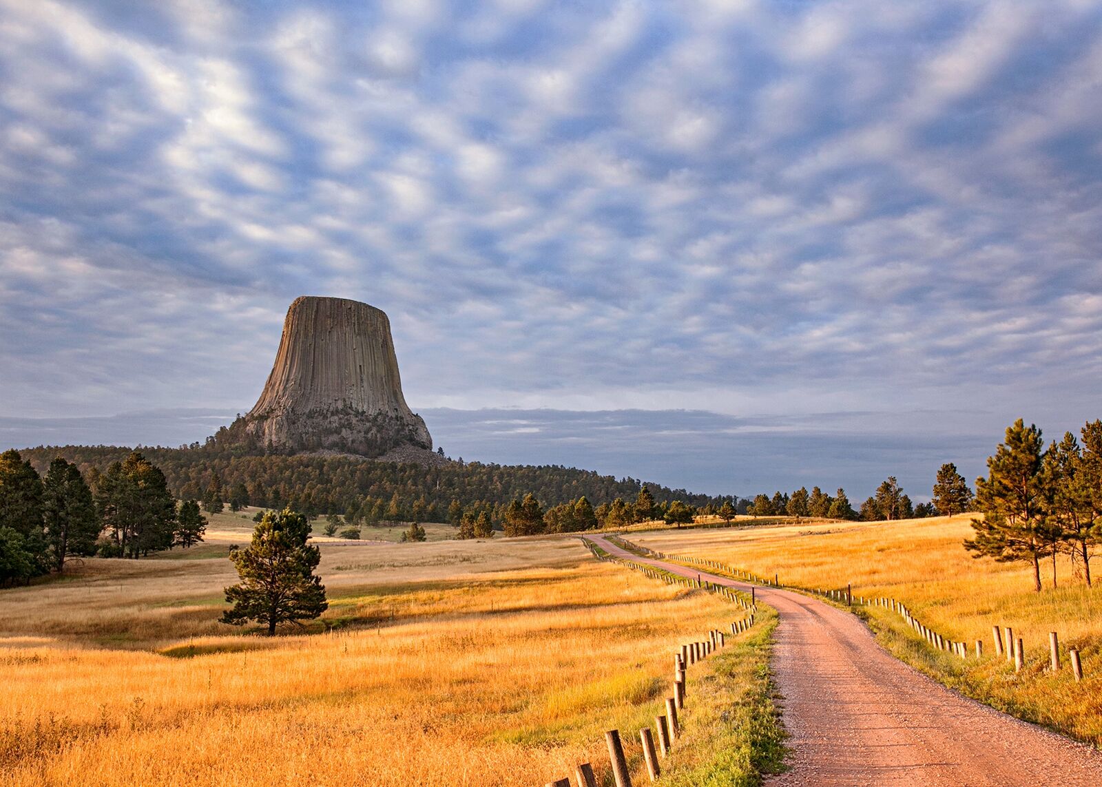 A view of Devils Tower in Wyoming