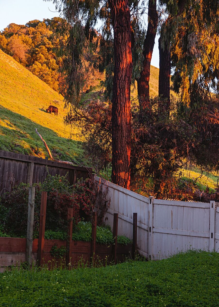 The sun setting on the hills of Fremont, California