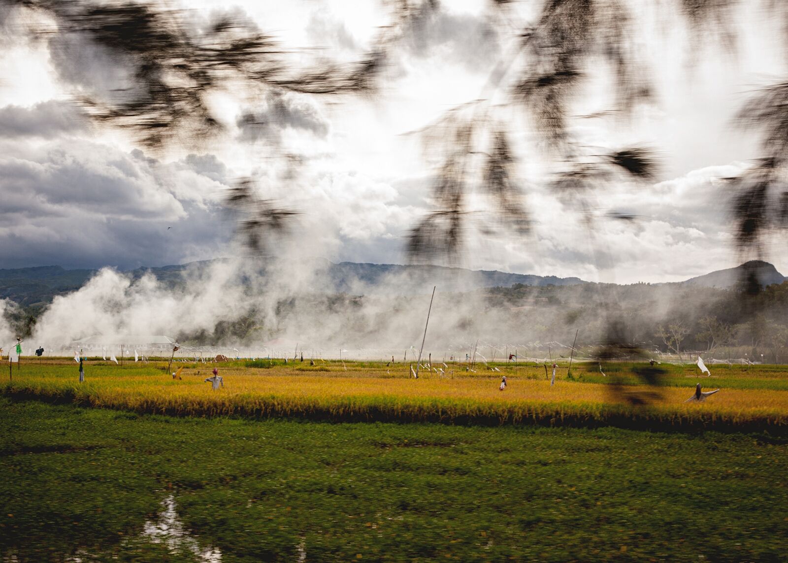 A smokey field in Cebu, Philippines